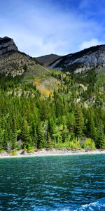 Nature,Forêt,Soulagement,Relief,Eau,Arbres,Montagnes