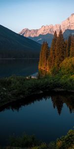 Nature,Water,Trees,Mountains,Lake,Spruce,Fir