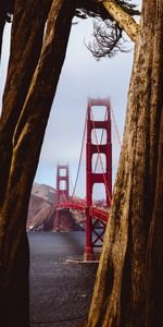 Nature,Water,Trees,Shore,Bank,Bridge