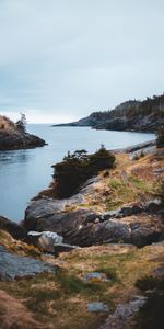 Nature,Water,Trees,Stones,Bush,Rocks