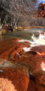 Nature,Water,Trees,Stones,Shore,Bank,Canyons