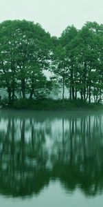 Nature,Water,Trees,Summer,Lake,Morning,Island,Islet,Fog