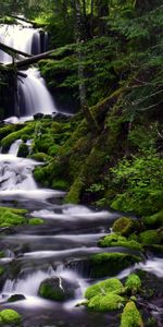 Naturaleza,Agua,Árboles,Musgo,Corriente,Flujo,Cascada