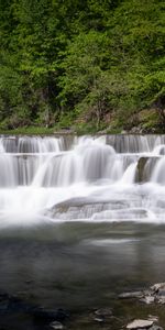 Поток,Деревья,Лес,Вода,Водопад,Природа