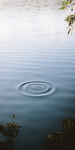 Nature,Lac,Cercles,Surface,Eau,Ondulations