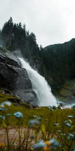 Nature,Waterfall,Forest,Landscape