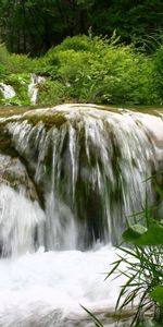 Vegetación,Flujo,Fluir,Bardana,El Lopouhi,Naturaleza,Cascada