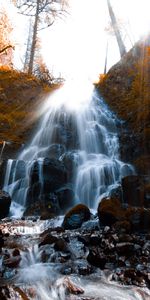 Nature,Wildlife,Moss,Brook,Creek,Stones,Waterfall,Spray