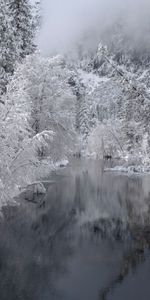 Arbres,Hiver,Rivières,Neige,Nature,Paysage