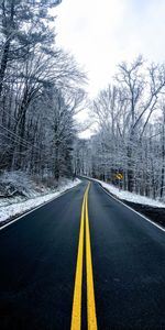 Naturaleza,Árboles,Margen,Asfalto,Invierno,Nieve,Camino