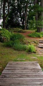 Nature,Wood,Vegetation,Greens,Bridge,Garden,Wooden