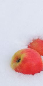 New Year,Apples,Frost,Snow,Winter,Minimalism