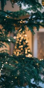 New Year,Fir,Christmas Tree,Boquet,Holidays,Glare,Christmas,Branch,Spruce,Bokeh