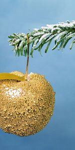 New Year,Snow,Christmas,Branch,Christmas Tree,Decoration,Holidays,Golden,Gold,Apple