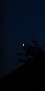 Night,Branches,Slope,Dark,Moon