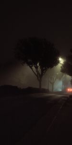 Noche,Las Luces,Luces,Niebla,Carro,Coche,Oscuro,Calle