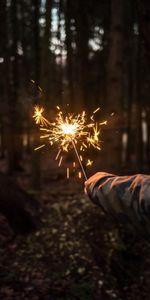 Night,Miscellanea,Miscellaneous,Forest,Sparkler,Hand