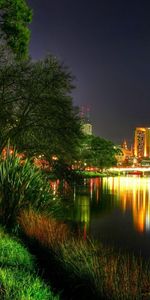 Night,Plants,Rivers,Cities,Landscape