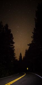 Night,Road,Forest,Starry Sky,Dark