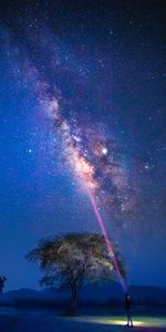 Night,Silhouette,Starry Sky,Stars,Dark,Milky Way