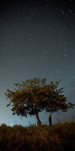 Night,Wood,Tree,Starry Sky,Human,Person,Nature,Dark