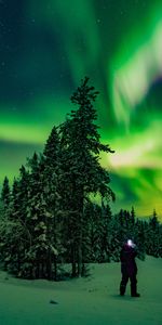 North,Winter,Nature,Forest,Night,Silhouette,Northern Lights,Aurora Borealis