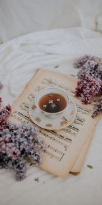 Notes,Flowers,Lilac,Cup,Still Life,Tea,Music