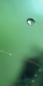 Objects,Drops