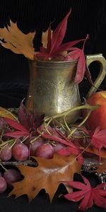 Objets,Fruits,Still Life