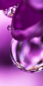 Objects,Violet,Drops