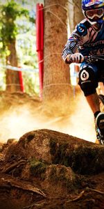 Obstacles,Stones,Forest,Bicycle,Sports