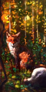 Renard,Opinion,Faune,Animal,Un Renard,Vue,Art