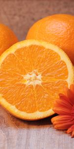 Oranges,Food,Flower,Citrus,Fruits