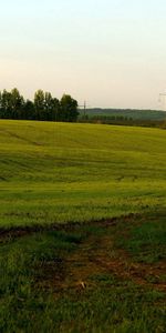 Naturaleza,Campo,Agricultura,Principalmente Nublado,Nublado