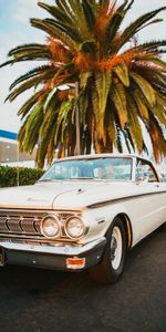 Palm,Cars,Old,Car,Retro