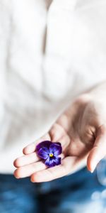 Palm,Flowers,Violet,Flower,Fingers,Hand,Purple