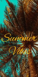 Palm,Mood,Vibrations,Vibration,Summer,Words