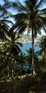 Nature,Paume,Un Bateau,Se Reposer,Mer,Relaxation,Bateau