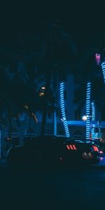 Palms,Cars,Car,Night City,Sports Car,Sports,Neon