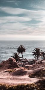 Palms,Horizon,Shore,Bank,Cliff,Rocky,Nature,Ocean