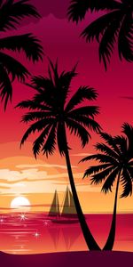 Palms,Pictures,Sunset,Landscape