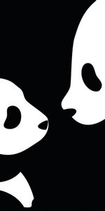 Panda,Picture,Drawing,Vector