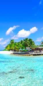 Océano,Reposo,Relajación,Paraíso,Palms,Naturaleza,Oceano,Playa