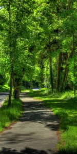 Verano,Parque,Wetzlar,Hdr,Naturaleza,El Parque,Alemania,Árboles