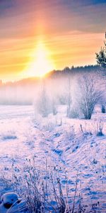 Path,Nature,Snow,Forest,Winter