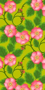 Patterns,Flowers,Pink,Vector