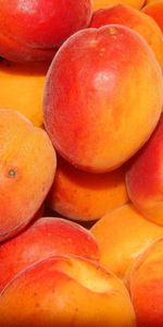 Peaches,Ripe,Tasty,Delicious,Apricots,Food,Fruits