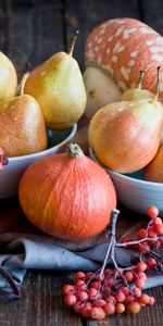 Pears,Plate,Rowan,Food,Pumpkin