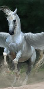 Pegaso,Alas,Caballo,Fantasía