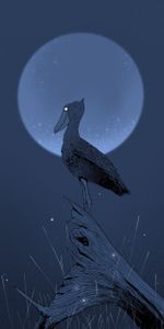 Souche,Pélican,Nuit,Lune,Oiseau,Art